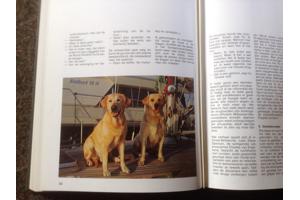 Boek van honden ,lieve en schattige huisdieren ,mensenvriend