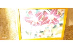 Moderne schilderij zo goed als nieuw