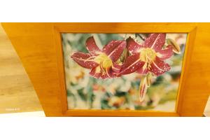 Moderne schilderij zo goed als nieuw