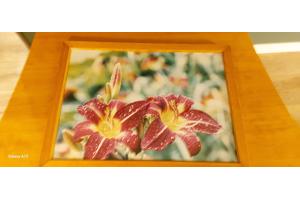 Moderne schilderij zo goed als nieuw