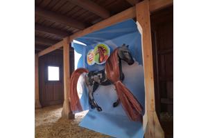 Little horse speelpaard zwart grijs bruine haren camouflage