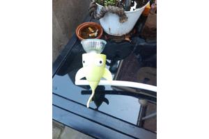 Leuke visjes kinder lamp K