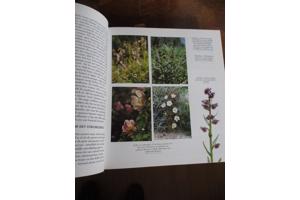 Natuur in België  -  Kust & Polders