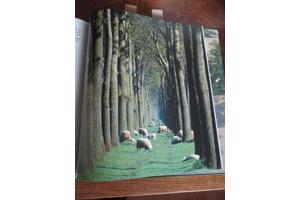 Natuur in België  -  Kust & Polders