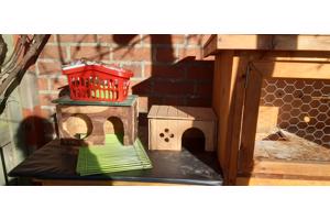 Cavia/konijnen hok incl toebehoren