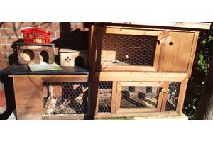 Cavia/konijnen hok incl toebehoren
