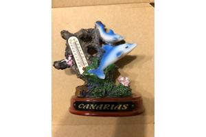 Canarias dolfijnen thermometer beeld dolfijn