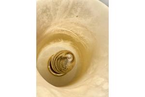 Pegasam Albast Natuursteen Tafellamp