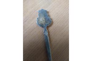 6 leuke oude theelepeltjes o.a dierenbescherming