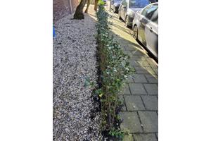 Grind ophalen gratis