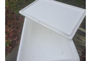 Tempex koelboxen (Rotterdam of omgeving Renesse)