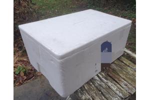 Tempex koelboxen (Rotterdam of omgeving Renesse)