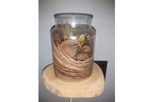 teak rack slide houten wand plank