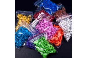 Duivensport / hobby artikelen voor Postduiven en Sierduiven