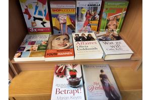 Chicklits : Goldsmith Keyes Kinsella Shreve Kelly Giffin