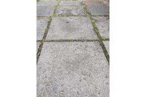 Grijze betontegels voor in de tuin!