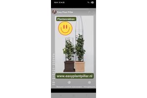 KLIMHULP voor klimmende en steunvragende planten