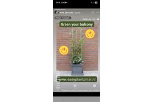 KLIMHULP voor klimmende en steunvragende planten