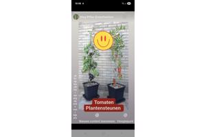 KLIMHULP voor klimmende en steunvragende planten