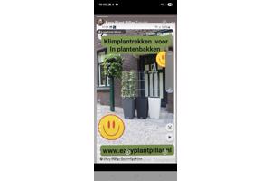 KLIMHULP voor klimmende en steunvragende planten