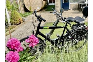Twee Fietsen in een van Giant Revive LX en Beixo met Cardan