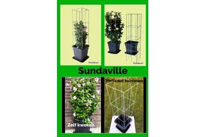 PLANT SUPPORT KOOPJES UIT LIMBURG NOORD