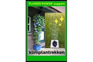 PLANT SUPPORT KOOPJES UIT LIMBURG NOORD