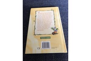 Disney fairies : pech voor Tinkelbel (7+) Elf 🧝‍♀️ elfje