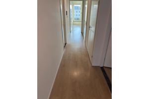 Laminaatvloer (verwijderen en ophalen