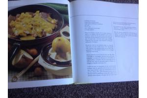 Twee kookboeken één met rundsvlees en één met microgolfoven,