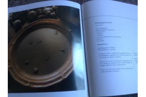 Twee kookboeken één met rundsvlees en één met microgolfoven,