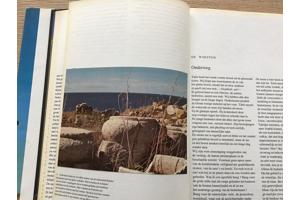 Arabië een prachtige  land met verschillende culturen TOP