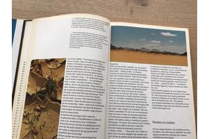 Arabië een prachtige  land met verschillende culturen TOP