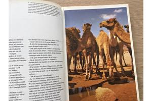 Arabië een prachtige  land met verschillende culturen TOP