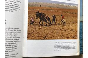 Arabië een prachtige  land met verschillende culturen TOP