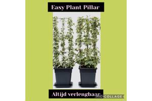 Plantenrekken voor planten te steunen tijdens de groei