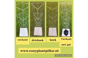 Plantenrekken voor planten te steunen tijdens de groei