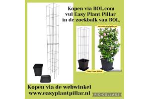 Plantenrekken voor planten te steunen tijdens de groei