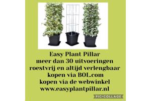 Plantenrekken voor planten te steunen tijdens de groei