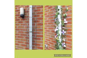 Plantenrekken voor planten te steunen tijdens de groei