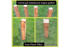 Plantenrekken voor planten te steunen tijdens de groei