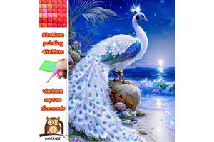 50x40cm Diamond Painting pauw strand (vierkant) nr 40