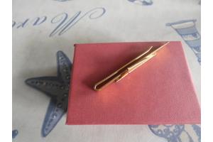 Dasspeld Erasmusbrug Rotterdam