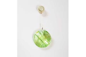 Swarovski Raamornament Bamboe Groen met doos en omdoos