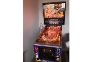 Flipperkast "the machine bride of pinball"