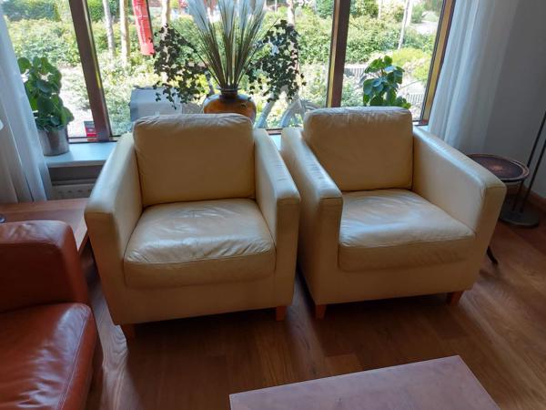 Fauteuils leer