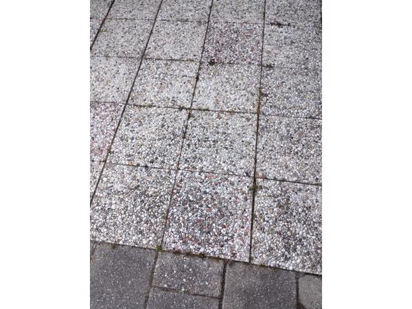 36 grindtegels 30 bij 30 en stoeptegels  liggen nog in tuin wel zelf eruit halen