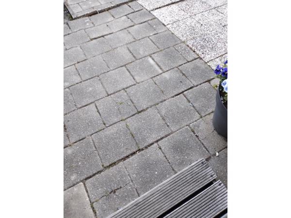 36 grindtegels 30 bij 30 en stoeptegels  liggen nog in tuin wel zelf eruit halen