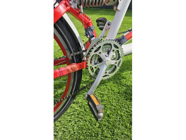 Prachtige RIDLEY THUNDER 2 mountainbike tandem