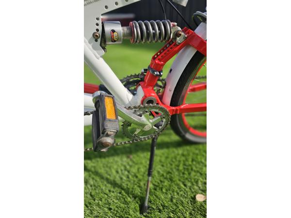 Prachtige RIDLEY THUNDER 2 mountainbike tandem